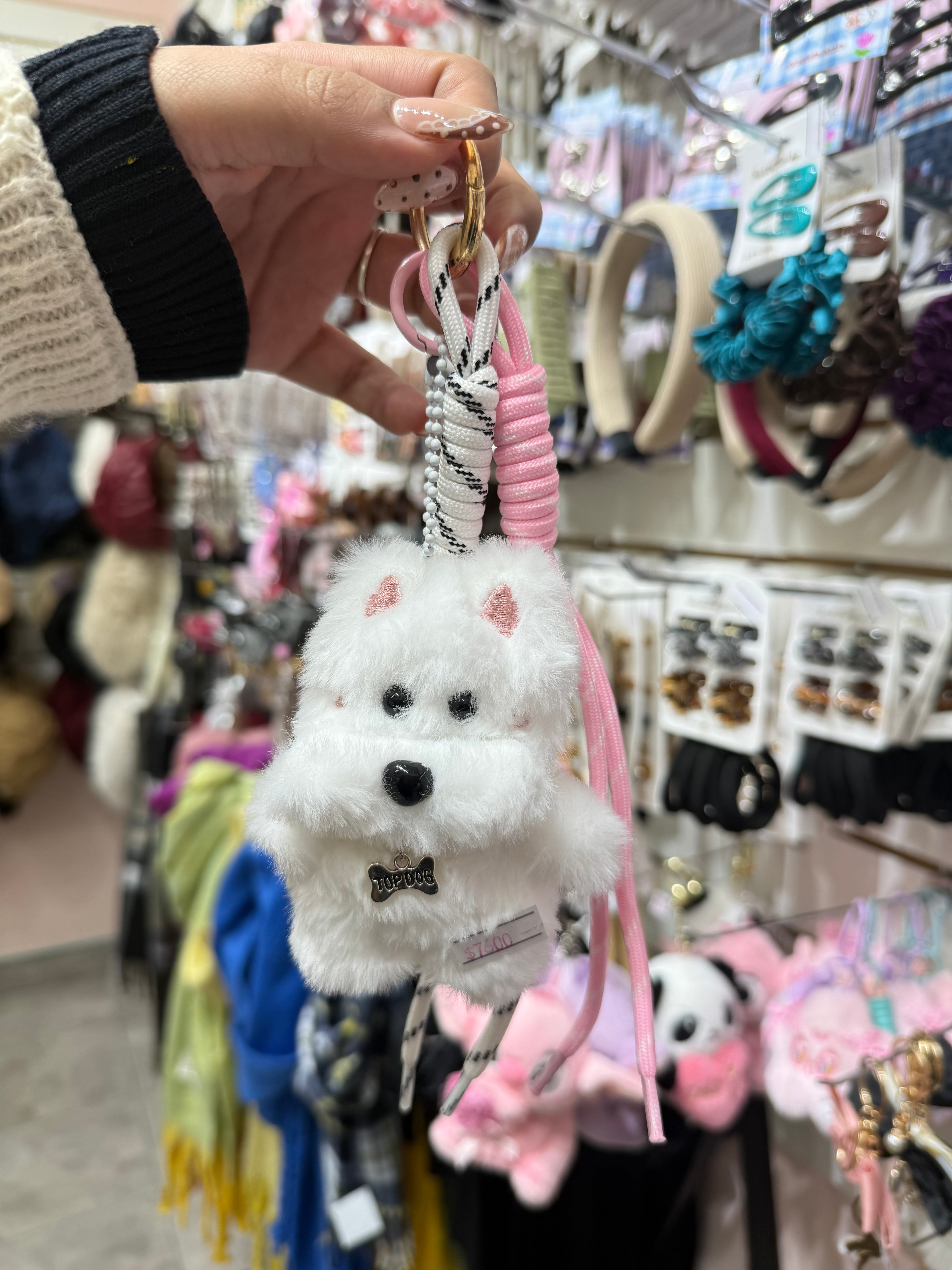 Llaveri perrito terrier